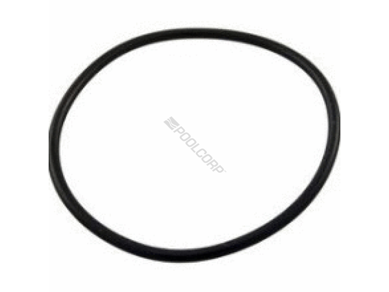 fns plus stand pipe oring