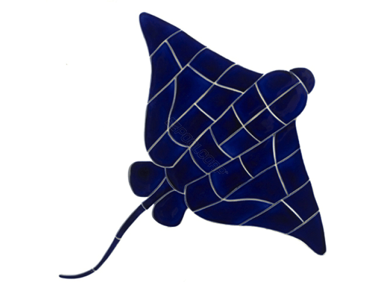 blue ray 18x19