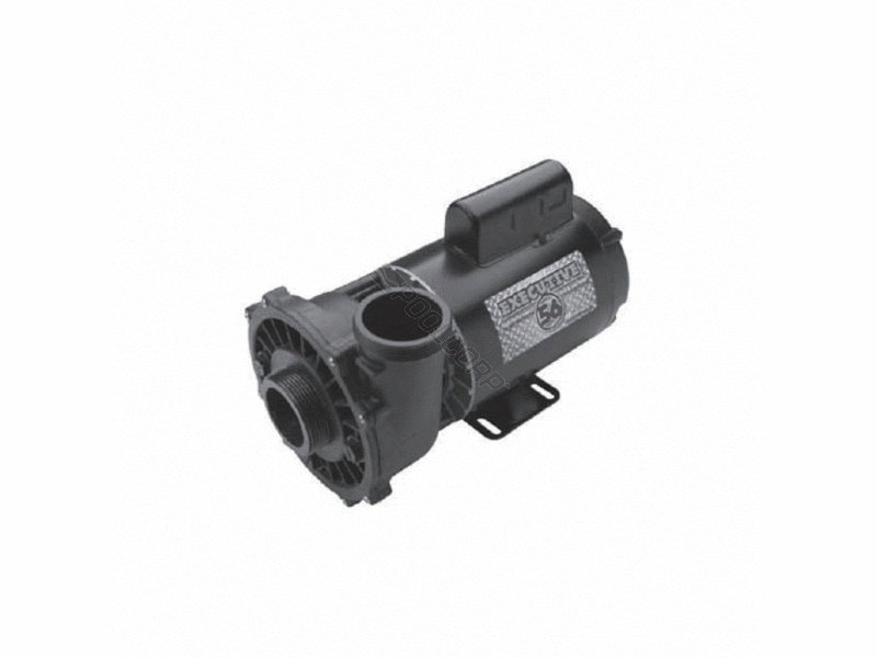 5hp 230v 56fr 2.5sx2d executive spa pump