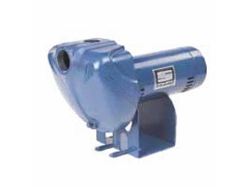 sta-rite 2hp centrf spklr pump