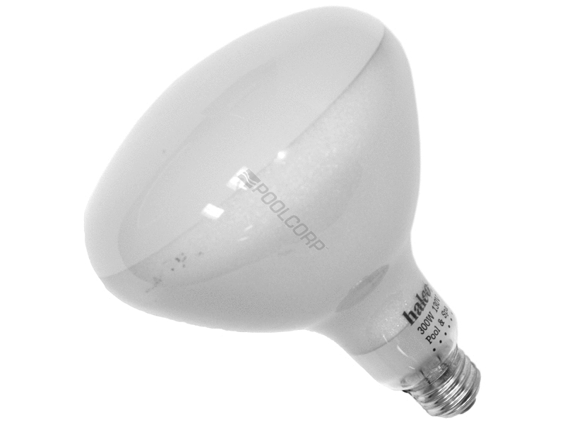 300w 12v r40 medium base flood bulb