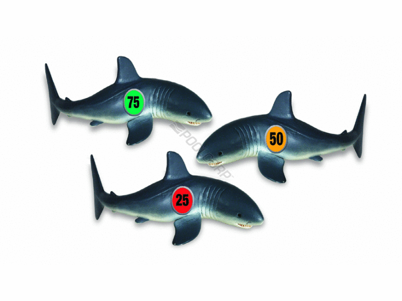 12/cs shark frenzy dive game