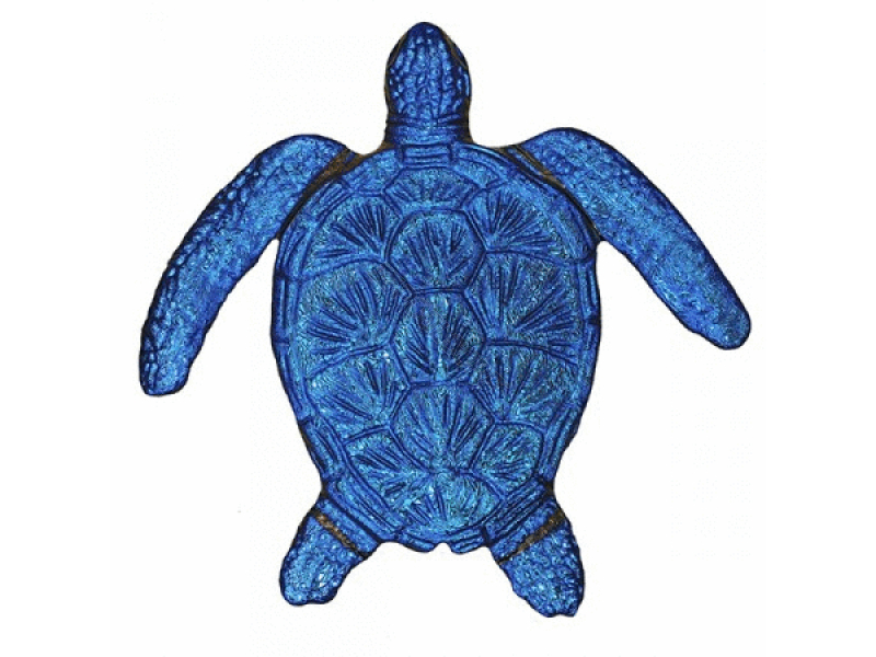 fusion sapphire loggerhead turtle
