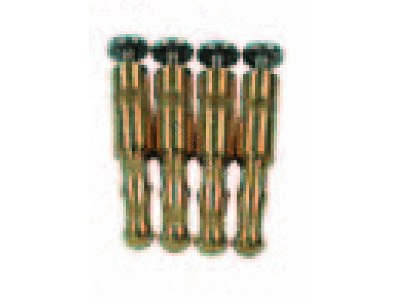 brass insert w/ ss screw