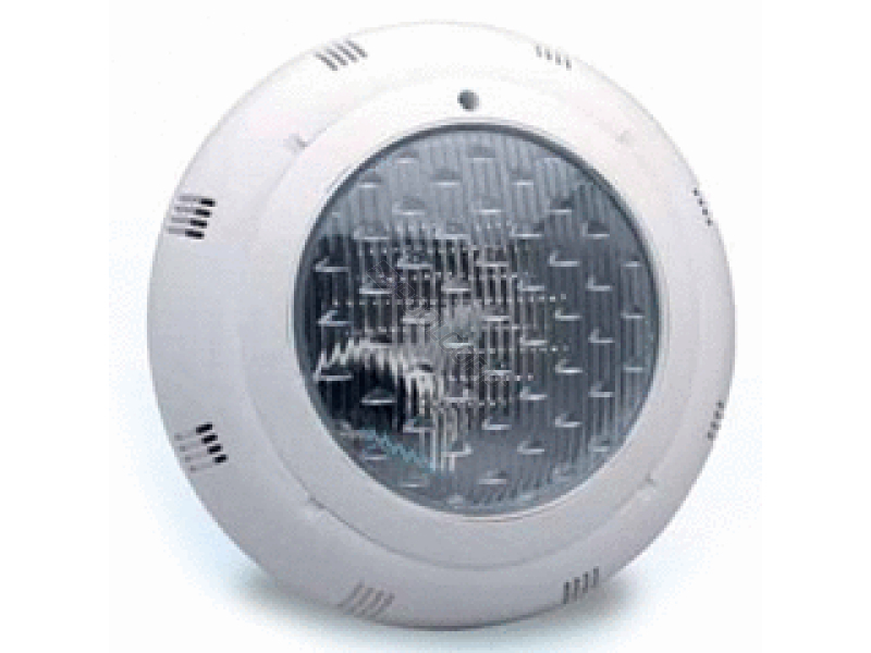 export 100w 12v nicheless halogen light& 10cd