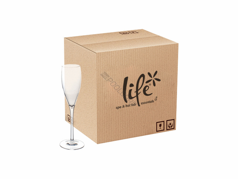 24/set bulk spa champagne flutes