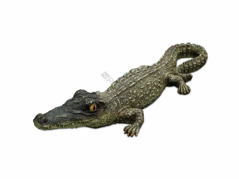 6/cs 18 floating alligator