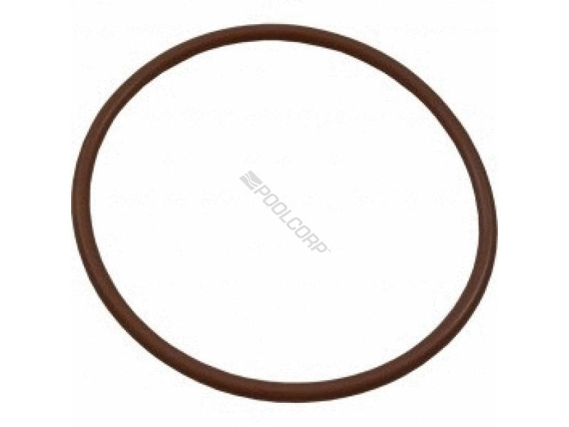 clearwater lid oring (after 2002)