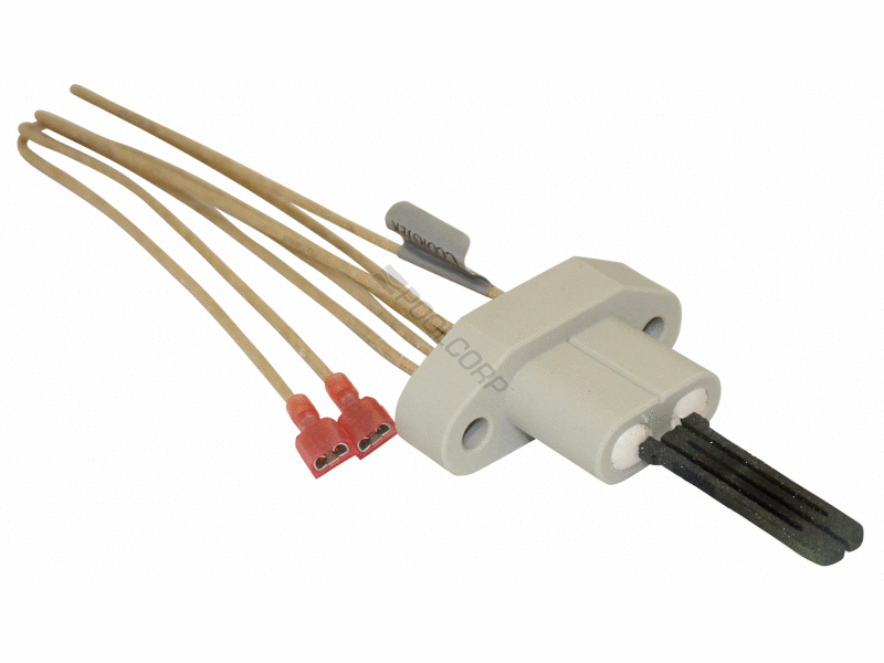 ignitor w/ gasket