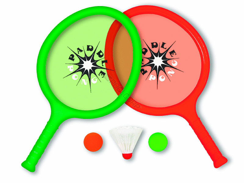 24/cs paddle pong game