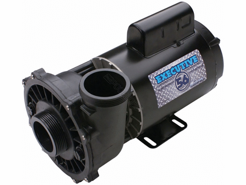 5hp 230v 2sp 56fr 2sx2d executive spa pump