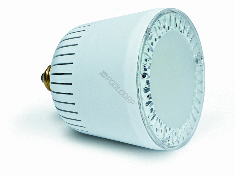 45w 120v purewhite led lamp