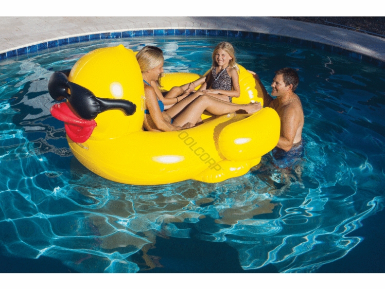 2/cs riding derby duck