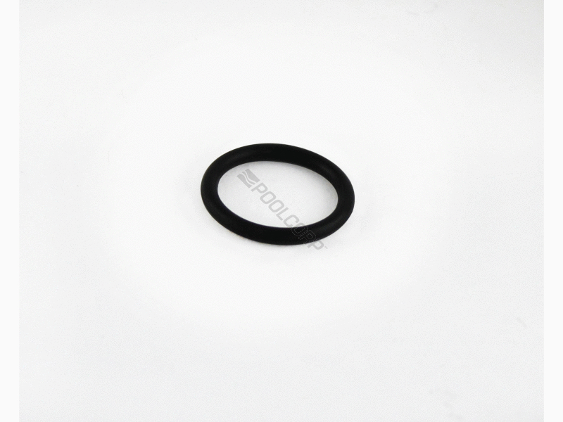 shaft oring