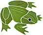 5x5 bull frog