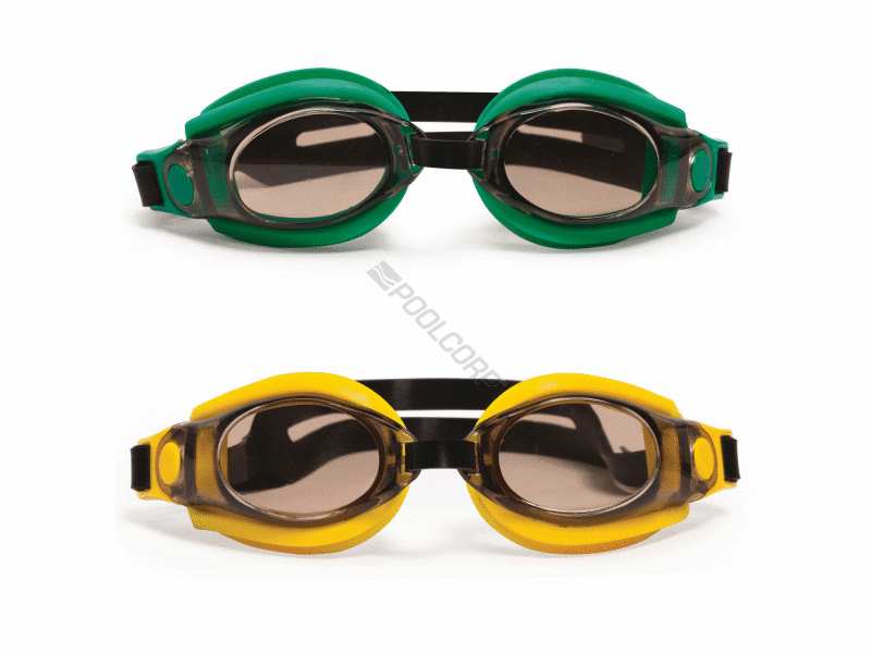 24/cs goggles- pro anti fog no leak