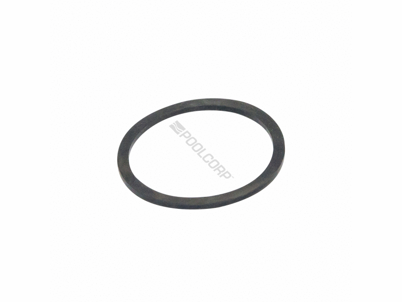 lens gasket - large