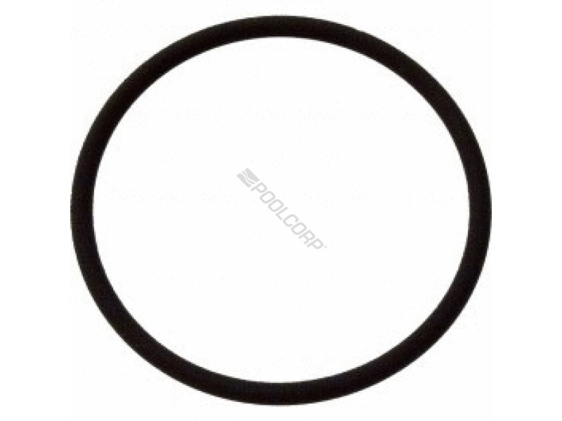 clearwater feeder lid oring (before 2003)