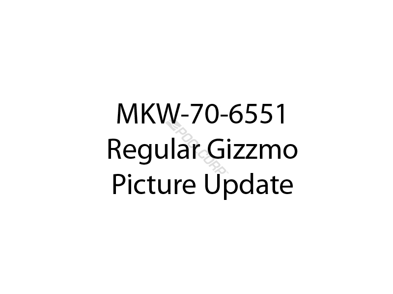 24/cs 1.5mpt regular gizzmo