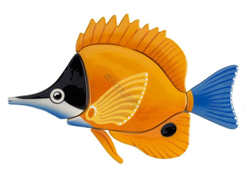 longnose butterfly fish 12x9