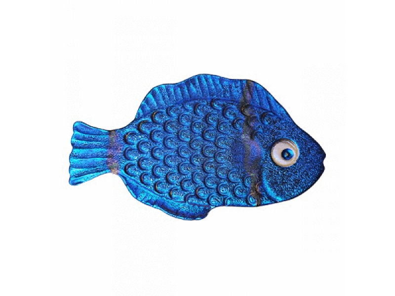 mini fusion sapphire tropical fish