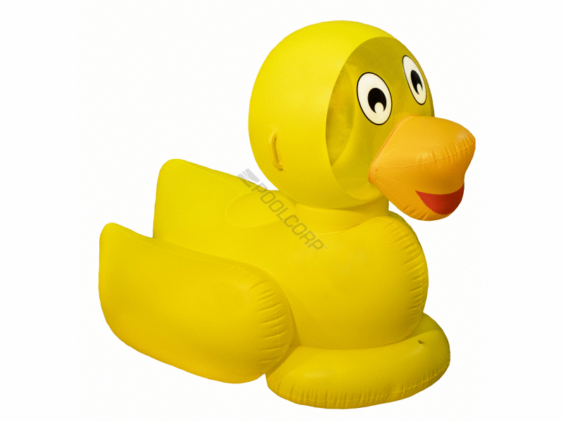 6/cs giant ducky