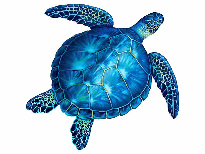 10 blue sea turtle