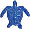 6 turtle loggerhead blue baby