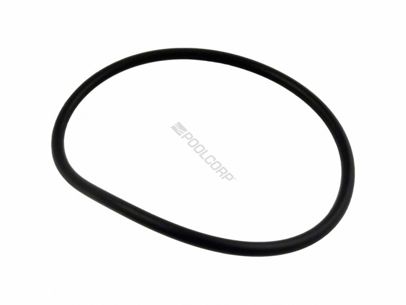 6 strainer cover oring