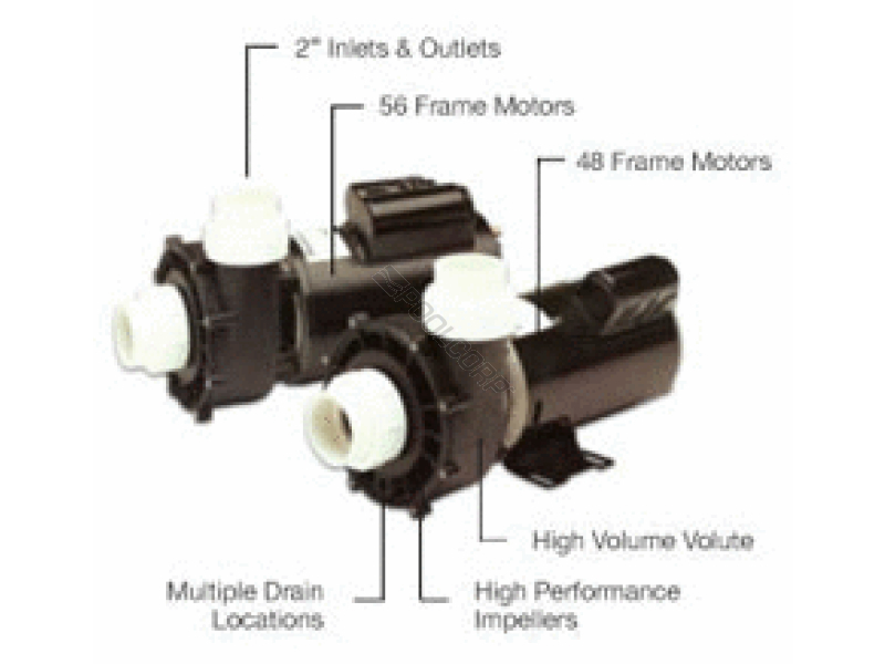 1hp 115v 2sp 10.5a 2 48fr xp2 pump