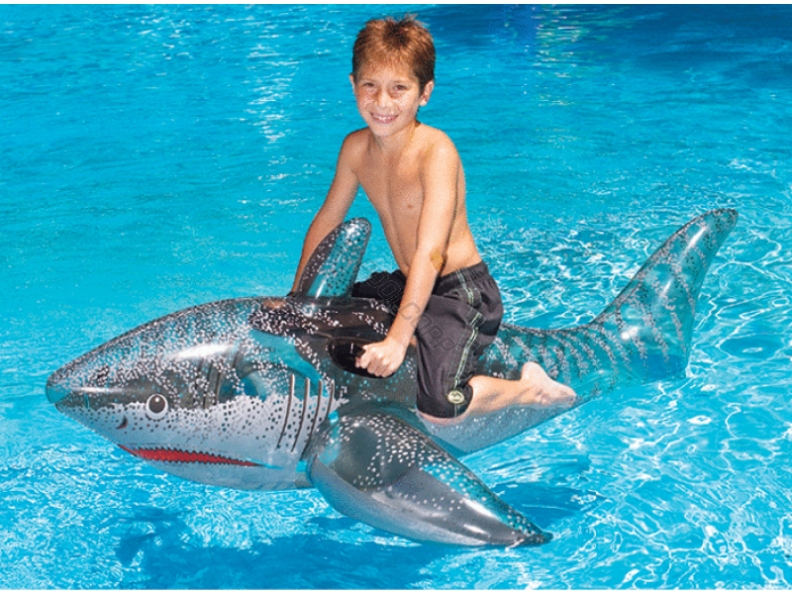 12/cs 72 inflatable shark