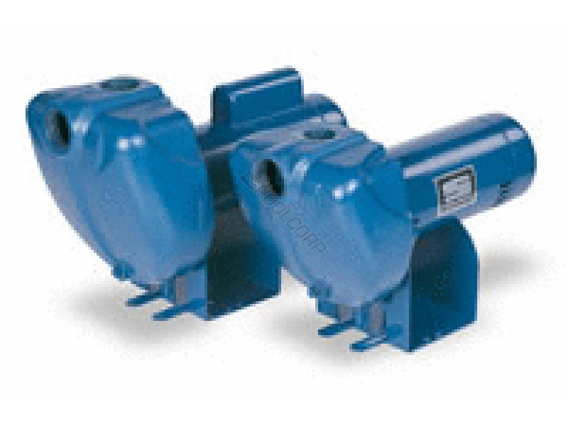 sta-rite 1hp cntrfgl pump
