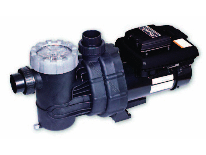 1.65thp professional vs pump