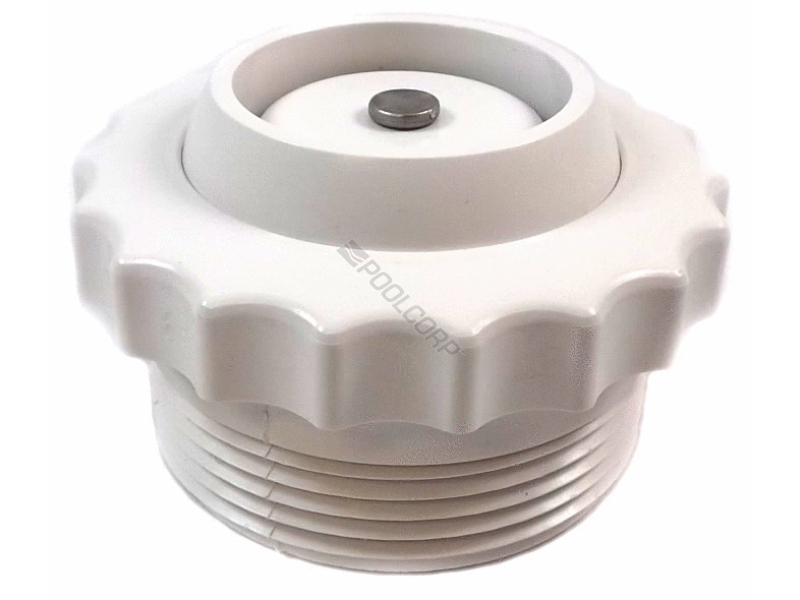 1.5mpt white spa check valve